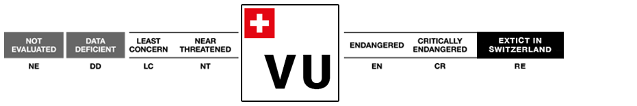 VU - Vulnerable (Verletzlich)