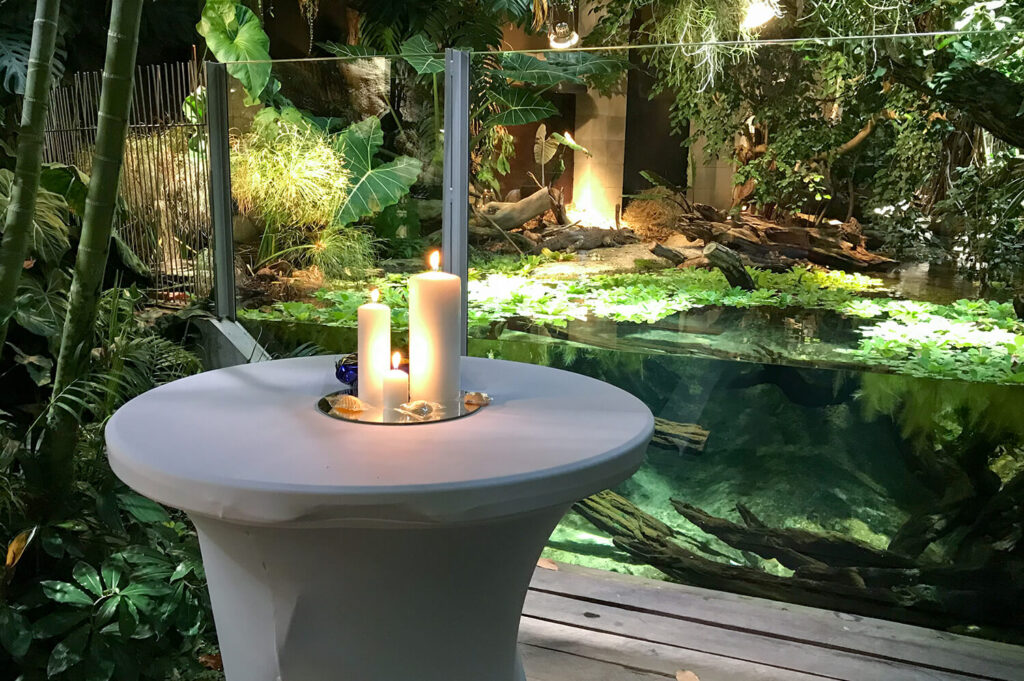 Nahaufnahme Stehtisch mit Kerzen vor einem Aquarium
