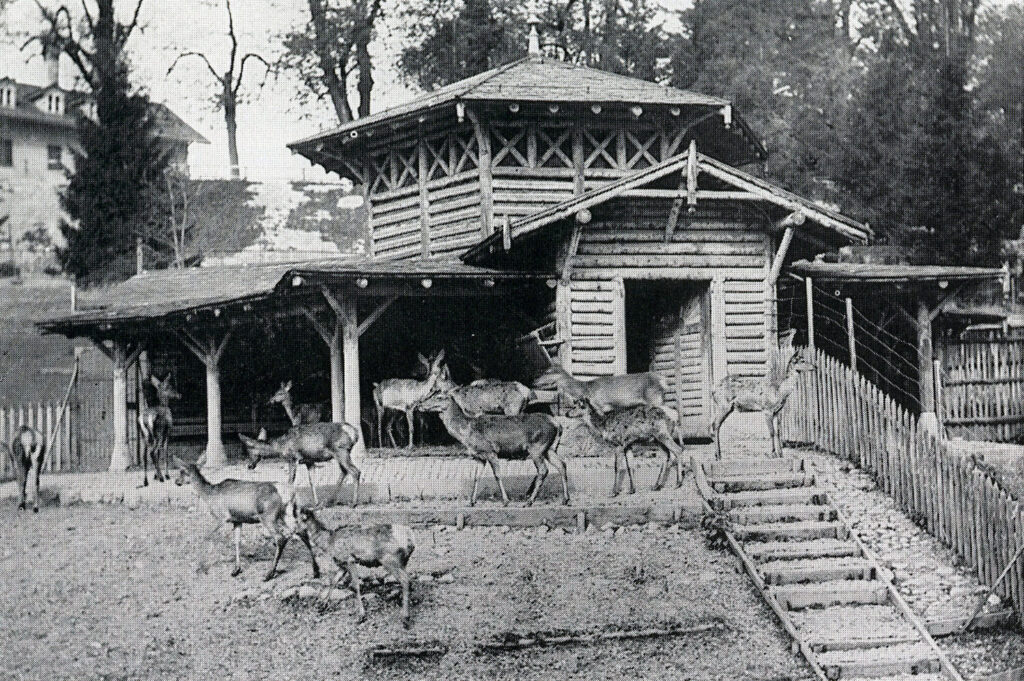 1873 – Tierpark an der Engehalde