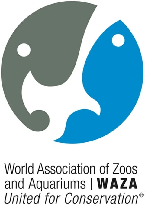 logo-waza
