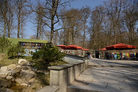 Grill-Brätliplatz-im-Dählhölzli