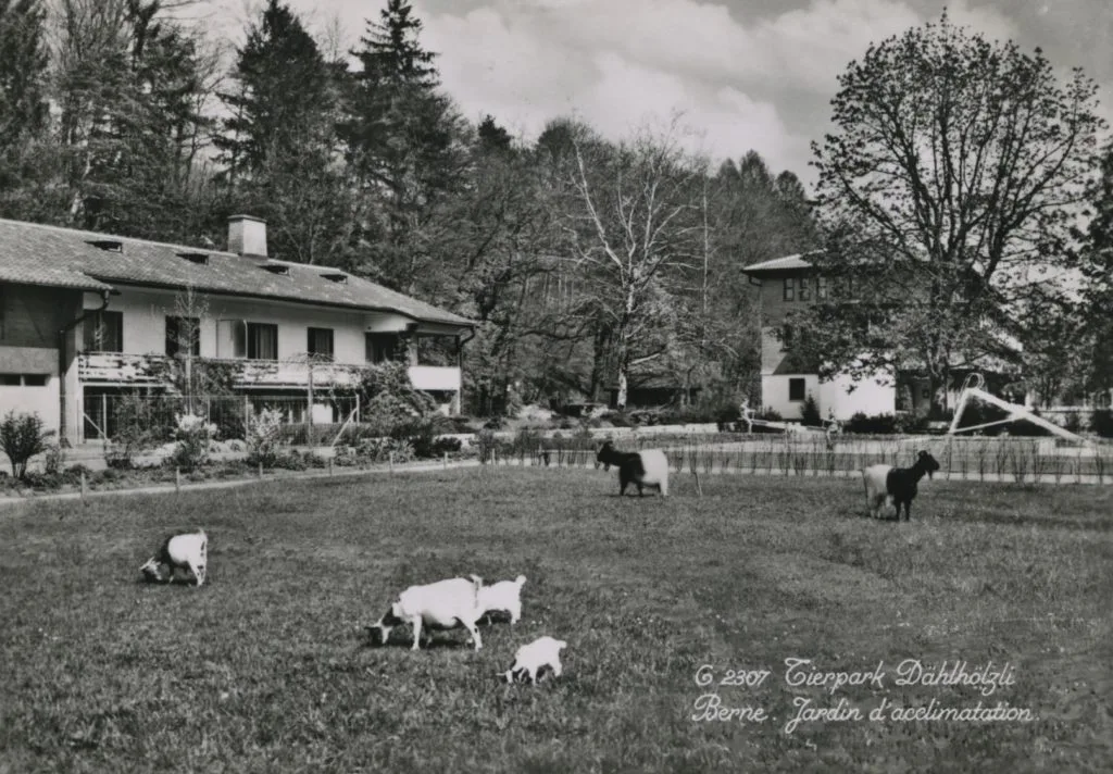 1970 – Leitspruch „Des Berners Zoo“