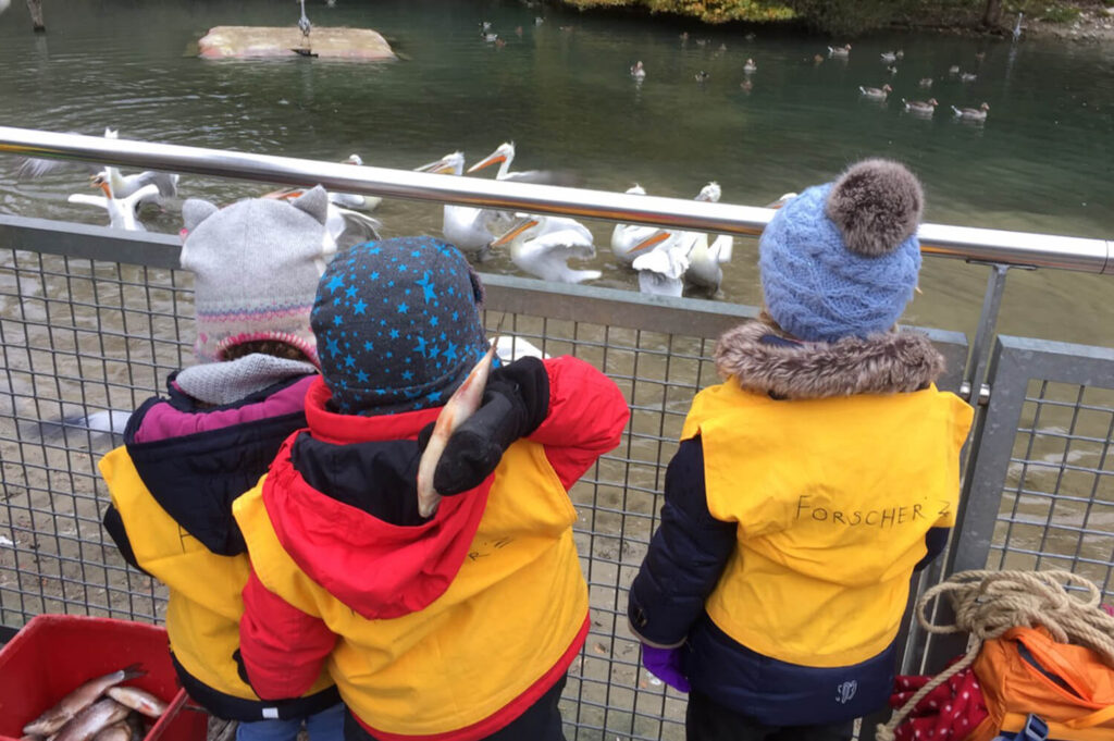 Drei Kinder füttern Pelikane