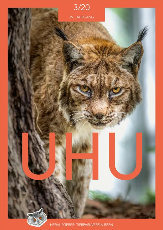 Titelbild der Vereinszeitschrift