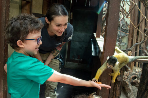Junge füttert zusammen mit der Tierpflegerin einen Affen