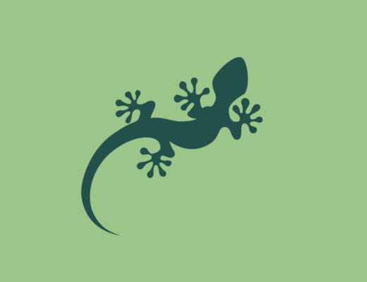 Avatar eines Geckos