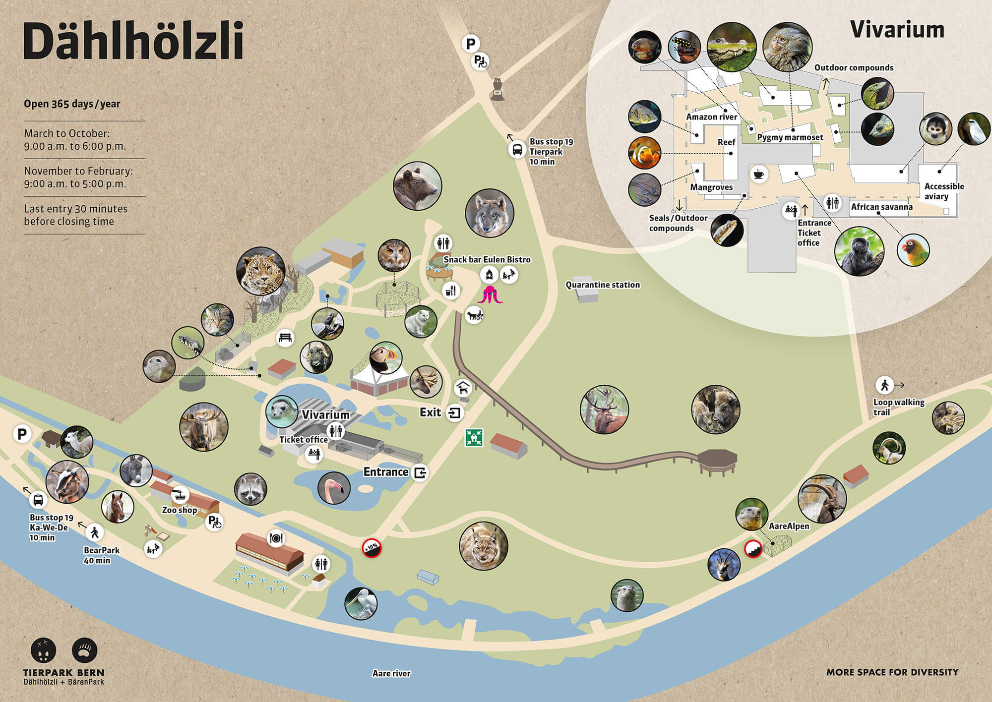 Zooplan of the Zoo Bern in English language