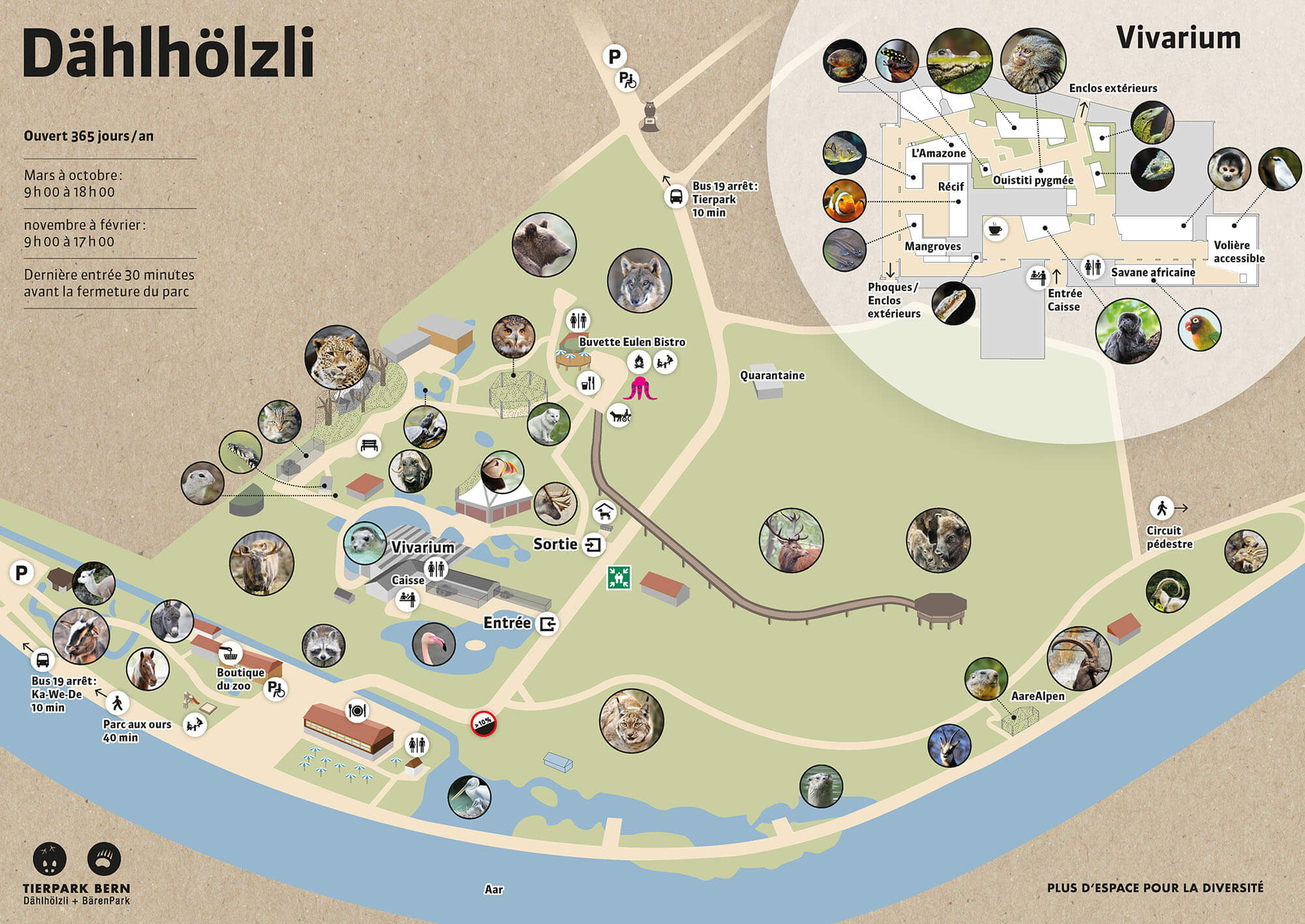 Zooplan du parc animalier de Berne en français