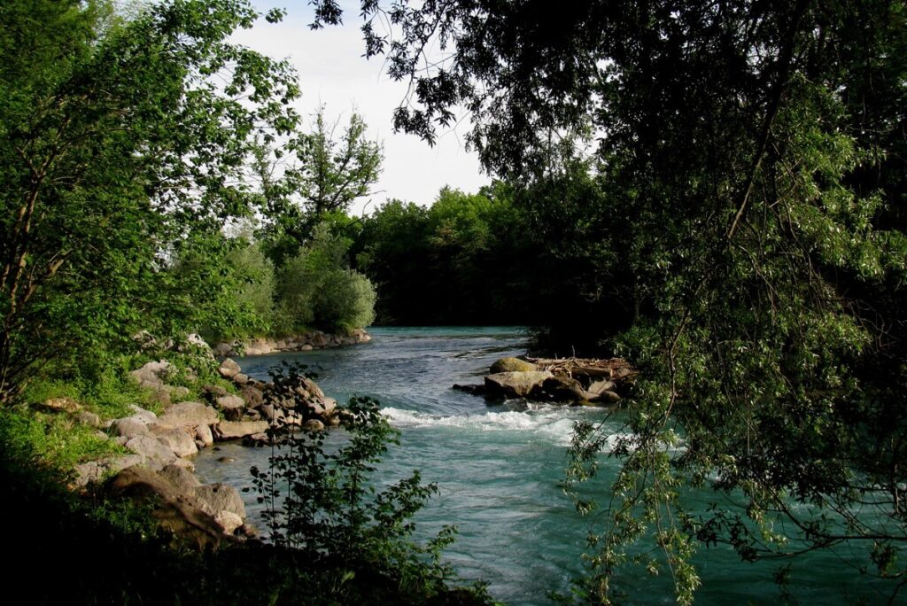 Ein Fluss mit grüner Vegetation am Ufer