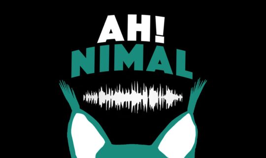 Logo für den Podcast aus dem Tierpark Bern