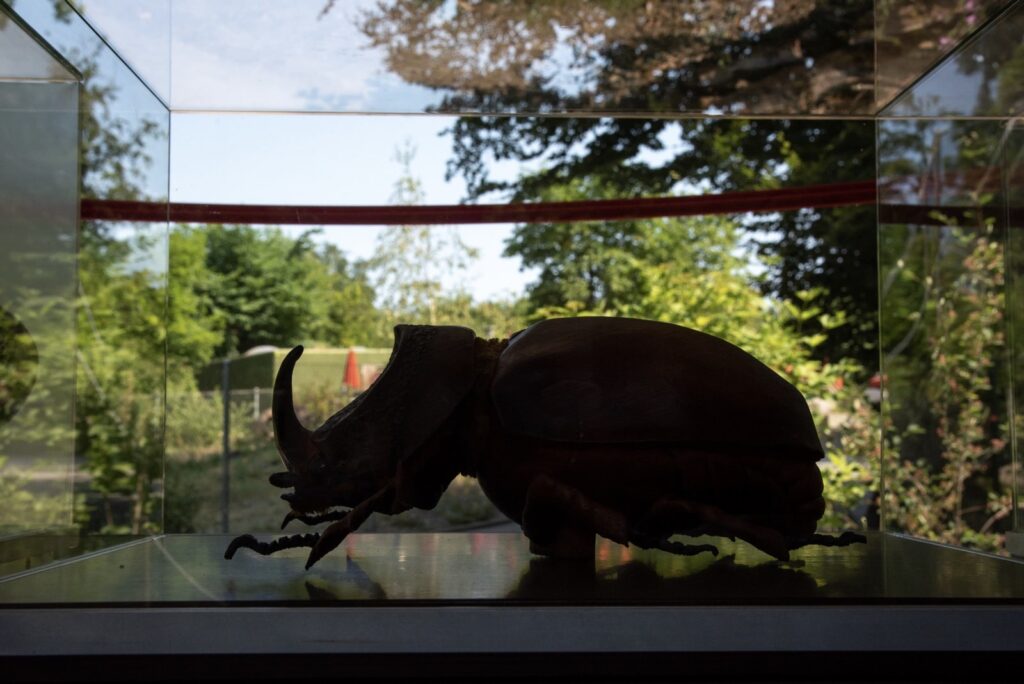 Nahaufnahme vom Käfermobil im Tierpark Bern