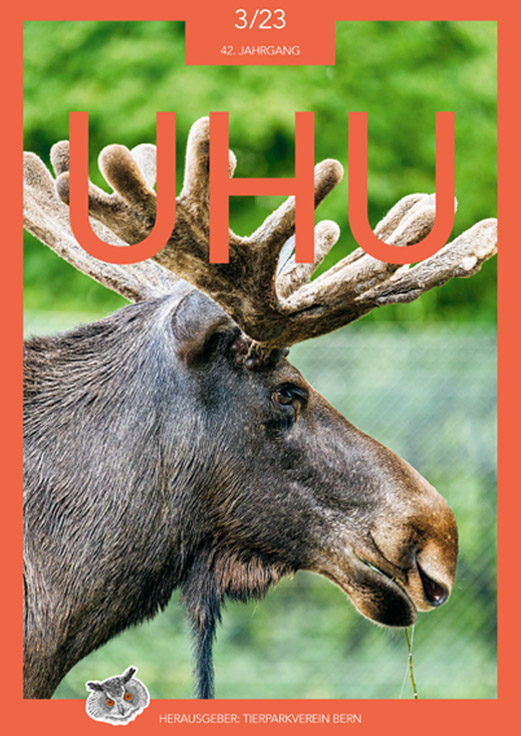 Titelblatt vom UHU 3/2023 Tierparkverein Bern