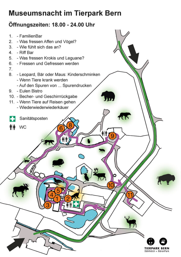 Illustration vom Plan zur Museumsnacht im Tierpark