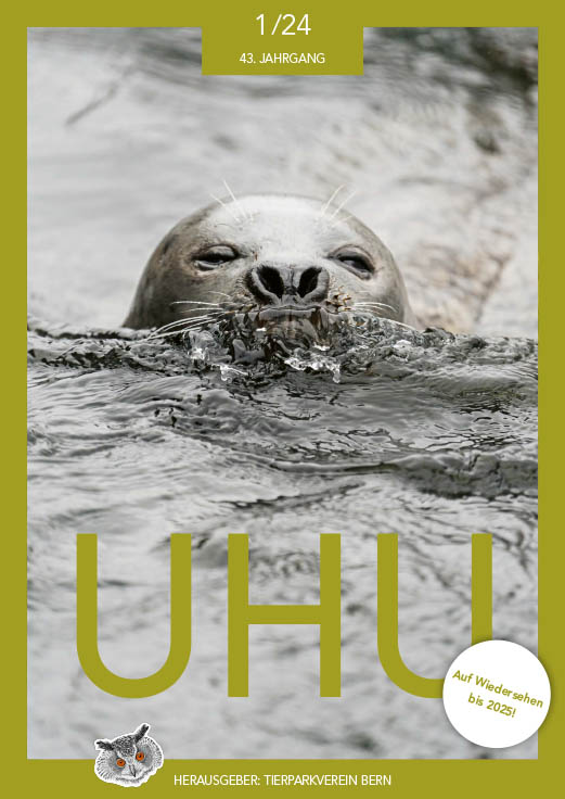 Cover vom UHU Magazin mit einem Seehund im Wasser