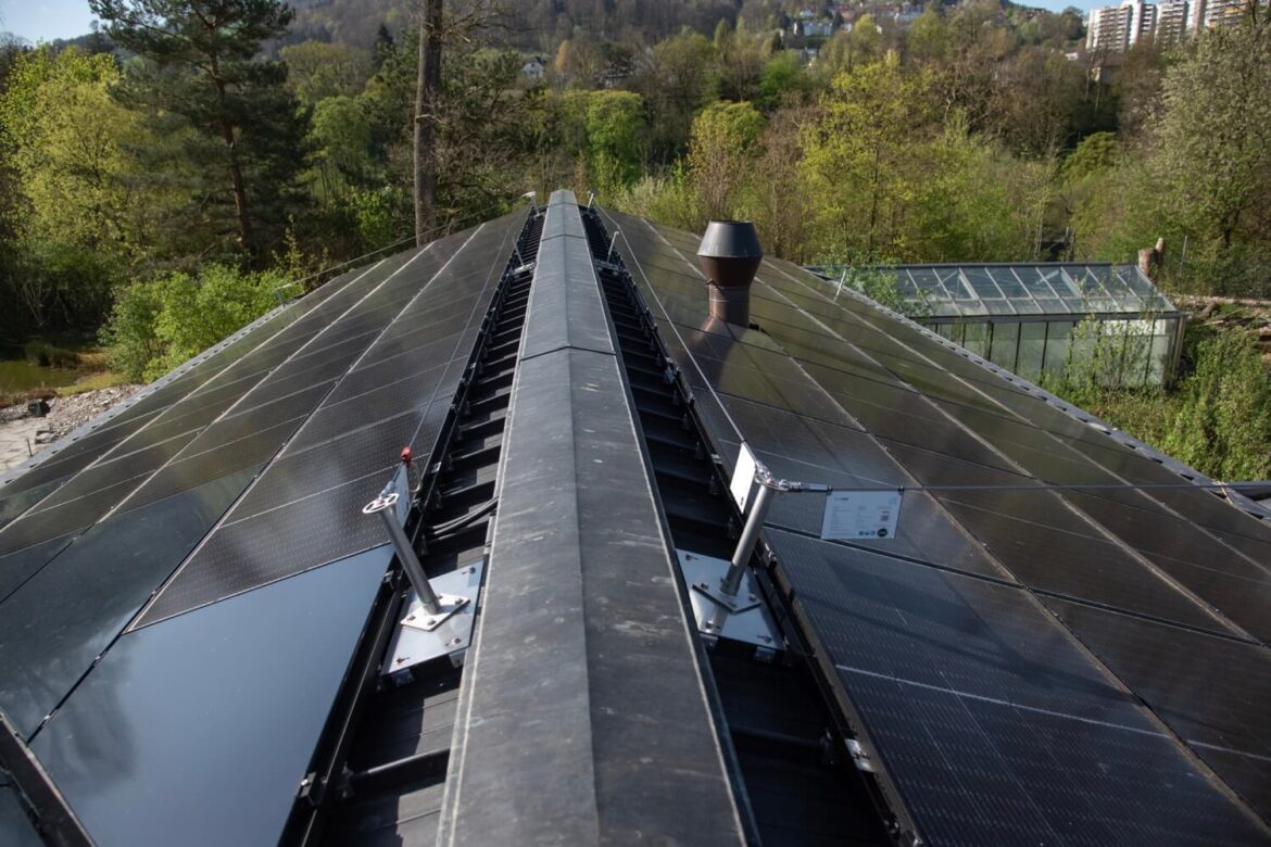 Eine Reihe von Photovoltaik-Solarmodulen auf dem Dach eines Gebäudes, umgeben von üppiger Vegetation.
