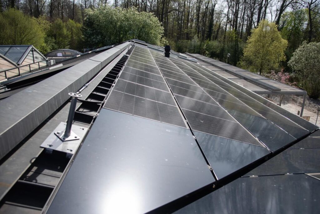 Eine Reihe von Photovoltaik-Solarmodulen auf dem Dach eines Gebäudes, umgeben von üppiger Vegetation.