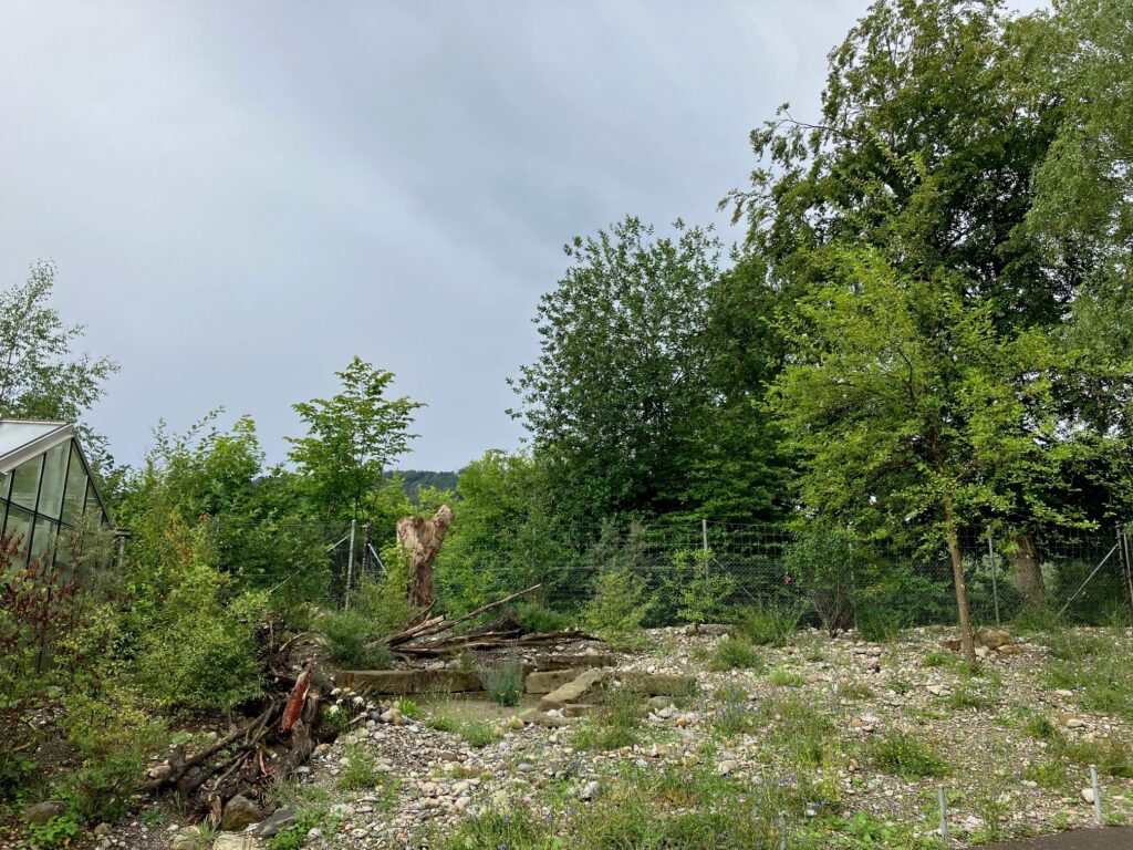 Blumenwiese Seehund im Jahr 2023